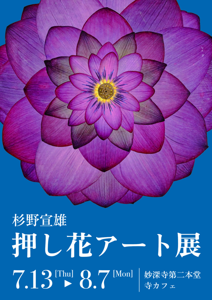 杉野先生の押し花アートの展覧会が始まりました。